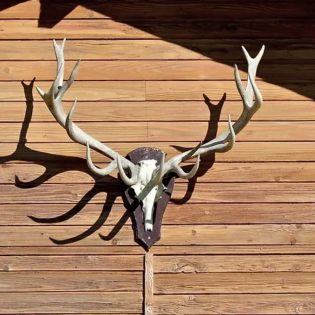 Chalet Am Wilden Kaiser *