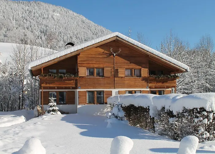 Am Wilden Kaiser Apartament Kirchdorf in Tirol